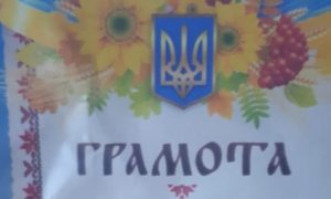 Сотрудников детского сада в Чите уволили из-за грамот с гербом Украины
