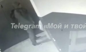 Расстегнул ширинку и притянул к себе школьницу: грязные действия педофила сняла камера в Воронеже