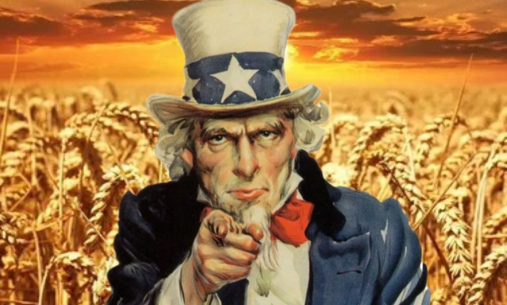 Власти США требуют от России вернуться к зерновой сделке 