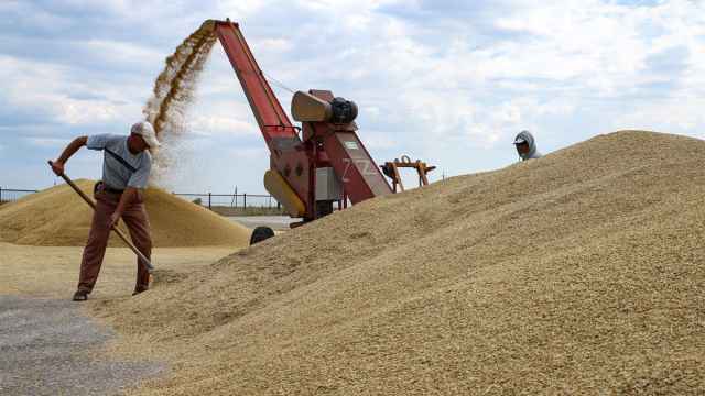К чему приведет срыв зерновой сделки и сможет ли Россия получить от этого выгоду