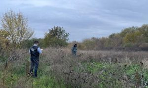 В Ростовской области обнаружили изувеченное тело 12-летней девочки