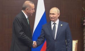 Путин предложил Эрдогану создать в Турции хаб для поставок российского  газа в Европу