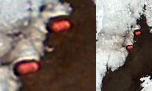 В Антарктиде найдена загадочная база пришельцев в виде конфеты «Тик-так»