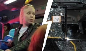 В Сочи женщина обматерила ребёнка с бананом и разбила стекла автобуса