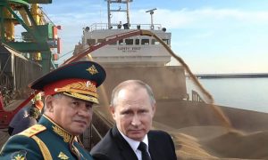 Россия возобновила участие в зерновой сделке: для чего мы делаем еще один жест доброй воли, демонстрируя свою слабость