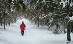 В Пискаревском парке Петербурга 26-летний мужчина убил ножом пенсионерку и изрезал себя