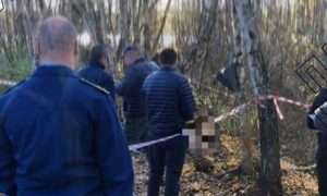 Суд в Москве арестовал двух мужчин, обвиняемых в убийстве 14-летнего школьника у озера Святое