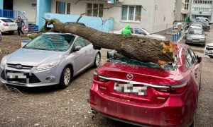 Опубликованы фото и видео последствий мощного урагана в Самарской области