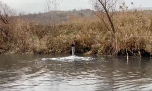 Фекальными стоками загрязняется приток реки Дон несколько десятков лет