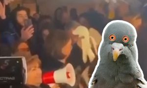 Азербайджанская экоактивистка задушила голубя мира на акции протеста в Шуше