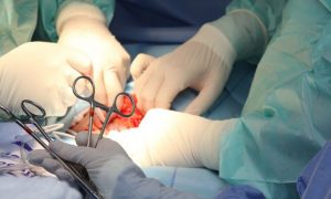 В ЛНР сообщили о прибытии под Артёмовск «чёрных трансплантологов»