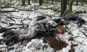 В борьбе со здравым смыслом: кто готовит и вооружает диверсантов Украины для подрыва АЭС