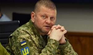 Раскрыт хитрый план Залужного: ВСУ готовят наступление этой зимой