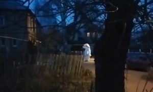 Белый медведь станцевал на улице Донецка всем врагам назло