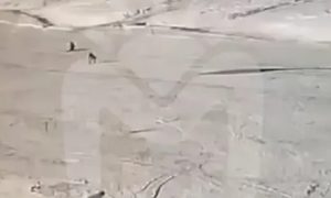 Смертельное столкновение двух лыжников на Эльбрусе попало на видео