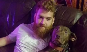 В США собака убила хозяина во время поездки на автомобиле