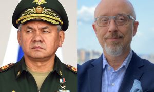 Резников против Шойгу (опыт сравнения министров)