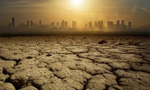 Ученые предрекли самый жаркий и засушливый год в истории человечества