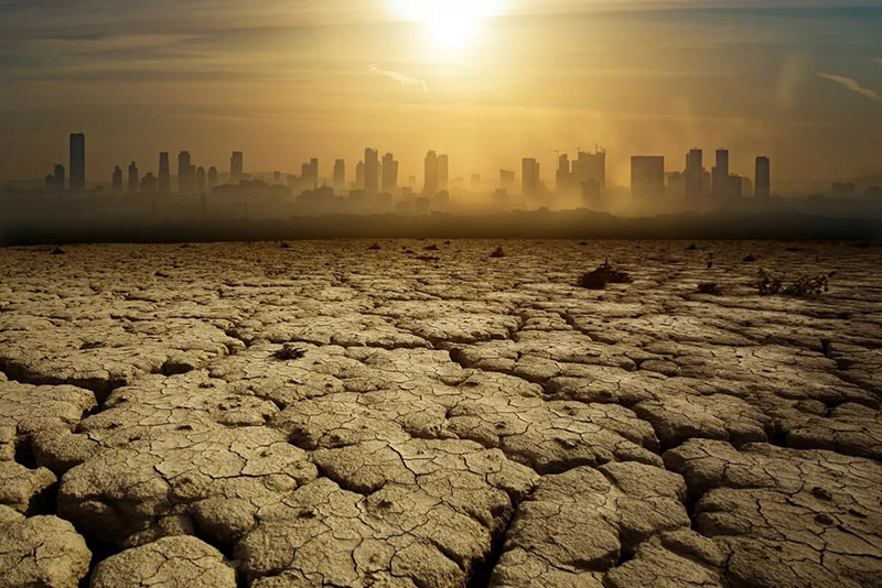 Ученые предрекли самый жаркий и засушливый год в истории человечества 