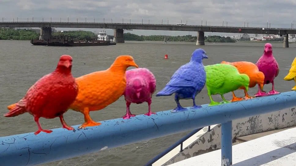 “Не Хочу быть мэром, пропагандирующим ЛГБТ”: глава Омска запретил устанавливать на набережной города разноцветных голубей