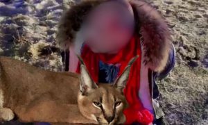 Лихач с элитным котом в «Лэнд Крузере» обстрелял полицейских фейерверком во время погони в Воронеже и похвастался «путинскими часами»