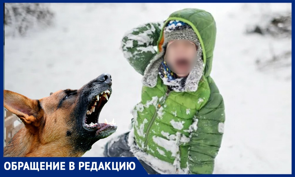 Ужасающие кадры нападения домашней собаки на детей в Подмосковье запечатлела камера наружного наблюдения 