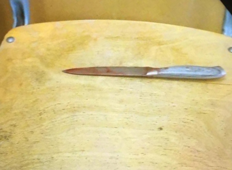 Обезумевшая школьница в Химках изрезала одноклассницу кухонным ножом