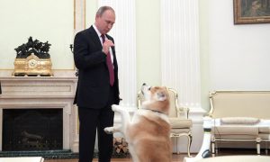 Когда всё закончилось: евродепутат предложил включить в санкционный список собаку Путина