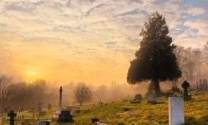 Бельгия решила переписать историю ради Украины, но забыла о своих грехах