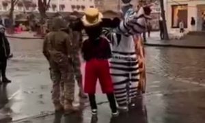 Зебру на передовую: в Одессе раздали повестки животным из Мадагаскара