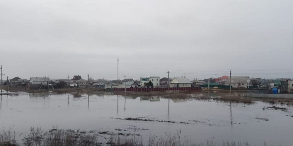 Тонущие сироты и спасение навозом: реки в Волгоградской области поднялись на 5 метров 