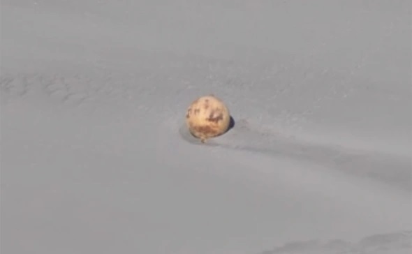 В Японии нашли еще один загадочный шар неизвестного происхождения
