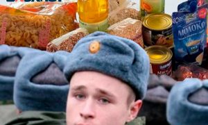 “Форель и кусок ветчины”: власти Москвы решили раздать семьям мобилизованных продуктовые наборы за счет бюджета