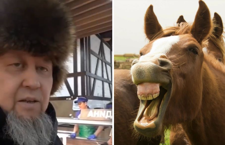 “Нас хотят выжить, как индейцев”: блогер из Казахстана обвинил русских в исчезновении конины с прилавков магазинов 