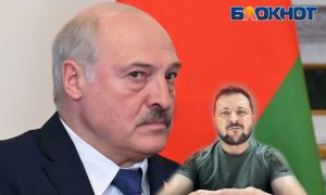Просто гнида и всё? Что стоит за оскорблением Зеленского со стороны Лукашенко