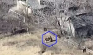 Украинские боевики под Авдеевкой переоделись в гражданских и начали миномётный обстрел