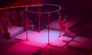Видео: акробат сорвался во время выступления в новосибирском цирке