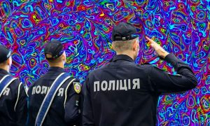 На Украине запретили использовать буквы Z и V на номерах автомобилей