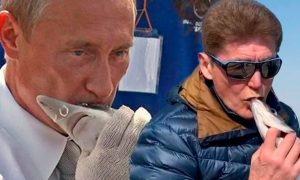 Приморского губернатора Кожемяко поймали на косплее Путина