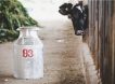Россия запретила ввоз киргизского молока после отказа страны от кириллицы