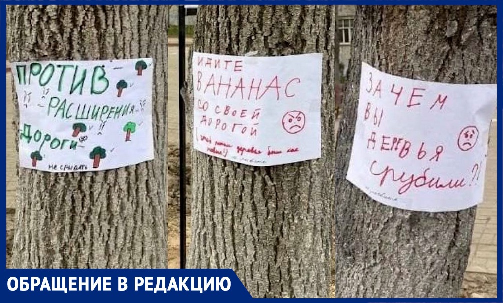 «Идите в ананас со своей дорогой», - в подмосковном Пушкино жители стали на защиту деревьев 