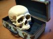 Страшная посылка из Москвы в США: таможенники аэропорта Внуково обнаружили человеческий череп