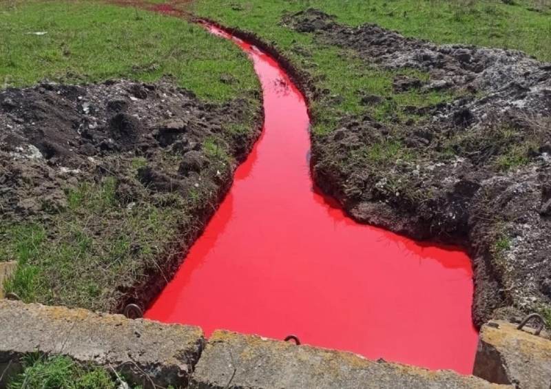 Как в фильме ужасов: река в соседствующем с Украиной села в Белгородской области стала "кровавой"