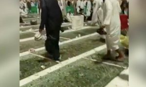 Нашествие насекомых в мусульманской святыне в дни празднования Рамадана шокировало верующих