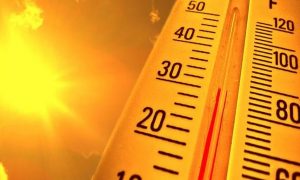 Синоптики предсказывают самое жаркое лето в России за последние 150 лет