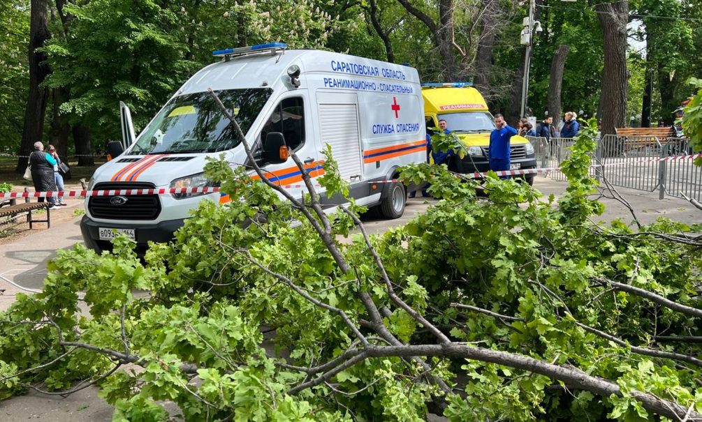 В Саратове упавшее в парке дерево раздавило бабушку и ребенка 