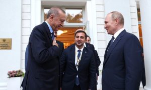 Новое соглашение между Россией и Турцией: Президент РФ Владимир Путин разрешил не платить за газ до 2024 года