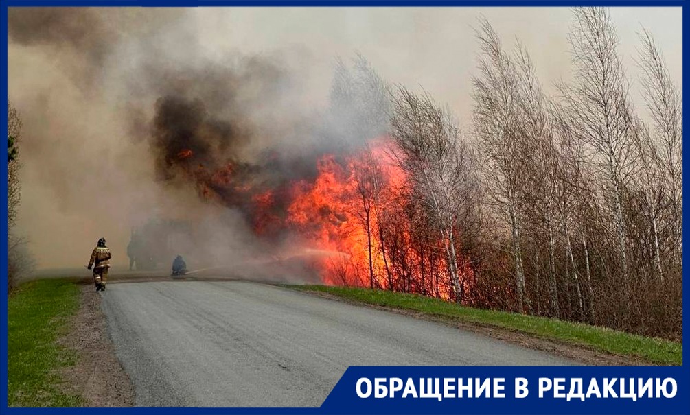 Активисты добиваются введения моратория на спортивную охоту в Русской Тайге 