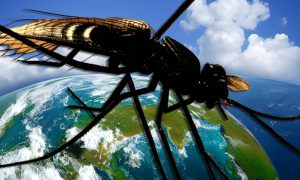 Смертельно опасные комары, наводнения и засухи: вот что нас ждёт к 2100 году