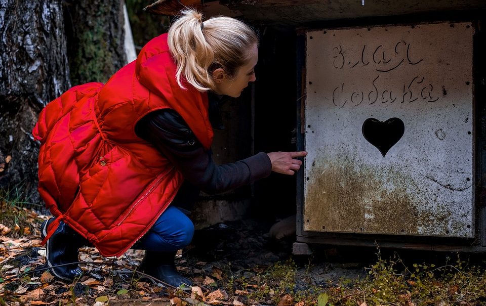 За укус питомца 200 тысяч: в Госдуме ужесточит требования к владельцам животных За укус питомца 200 тысяч: в Госдуме ужесточит требования к владельцам животных